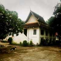 วัดป่าไผ่