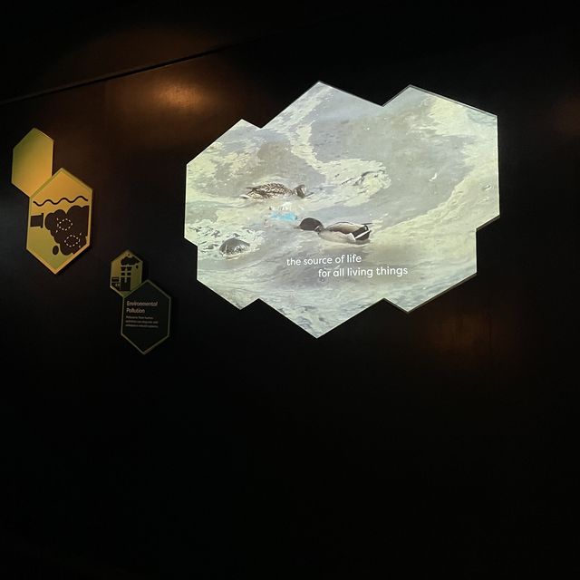 cloud museum 