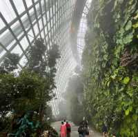 The World Tallest Indoor Waterfall