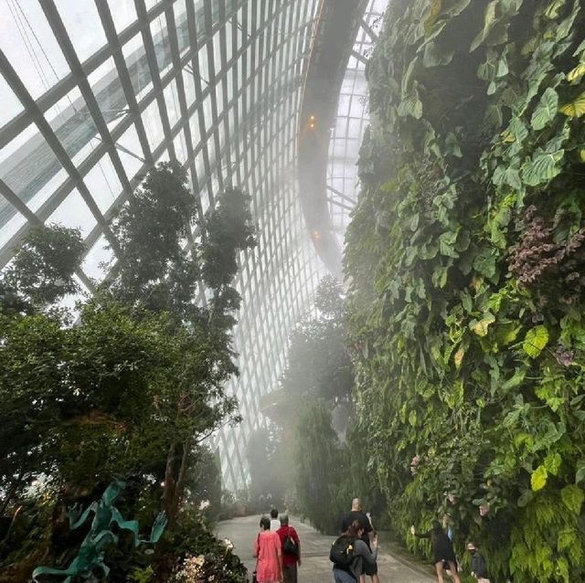 The World Tallest Indoor Waterfall