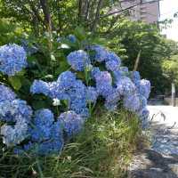 かっぱ家族の願かけ手湯