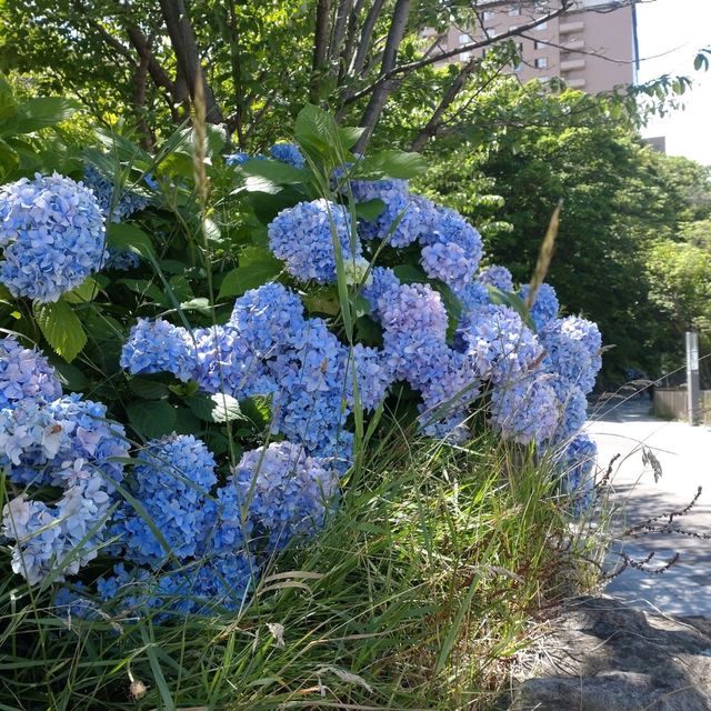 かっぱ家族の願かけ手湯