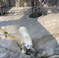 【旭山動物園】北海道/旭川市
