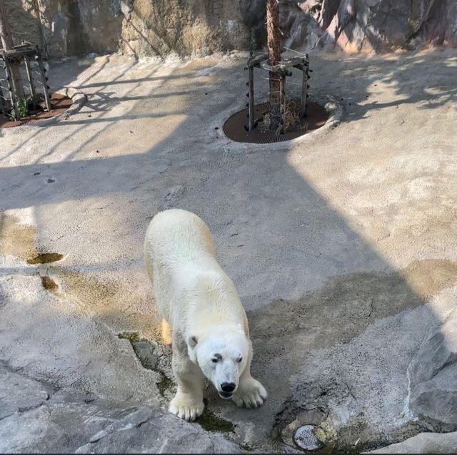 【旭山動物園】北海道/旭川市