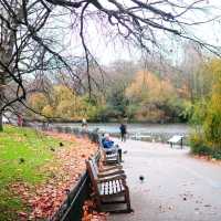 AUTUMN IN THE LARGEST PARK IN LONDON