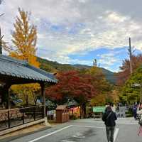 Garden with Fall colors 