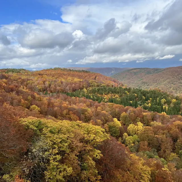 [青森] 賞楓名勝
