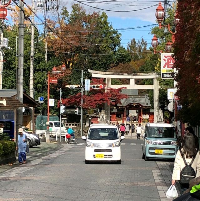 Beautiful Fall Foliage around Chichibu Shrine