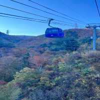 【新潟】紅葉が楽しめるゲレンデ