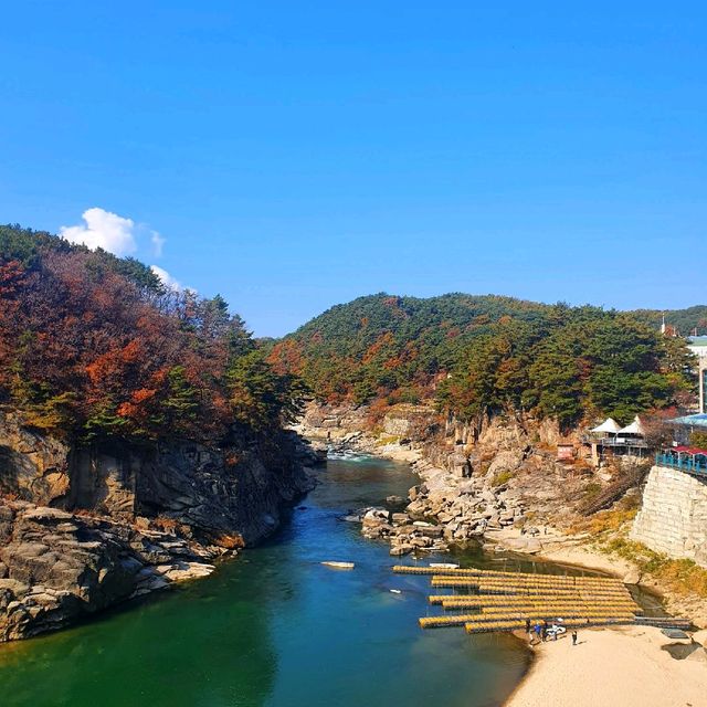 단풍구경 핫플레이스! 새롭게 오픈한 주상절리길