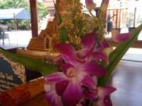 วัดพระบรมธาตุเจดียาราม นครชุม @กำแพงเพชร 
