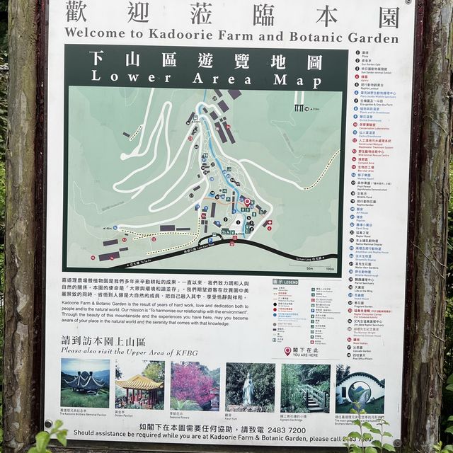 同小朋友去睇動物🤓