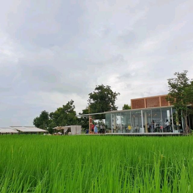 " หุ่น | ไร่ | กา  ท้องนาบ้านย่า " 