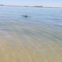 Bunbury Australia 