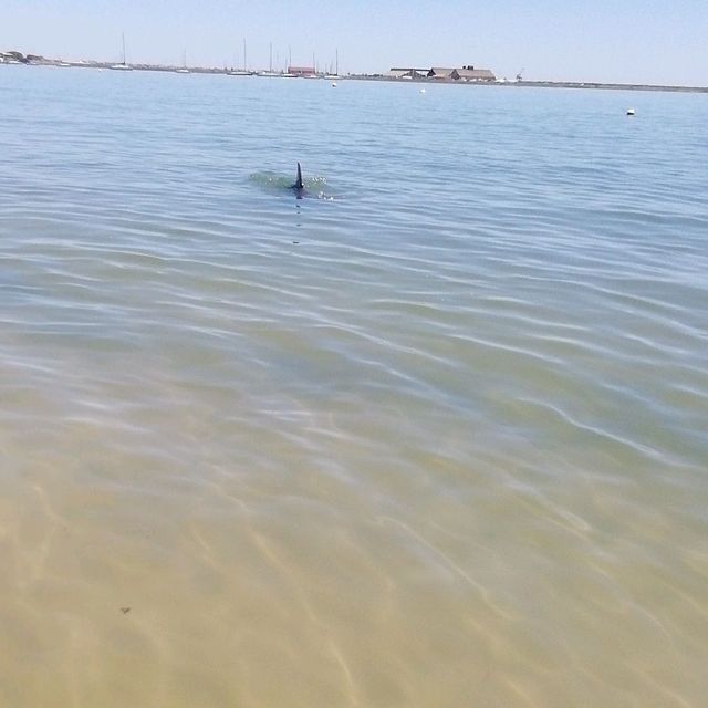 Bunbury Australia 