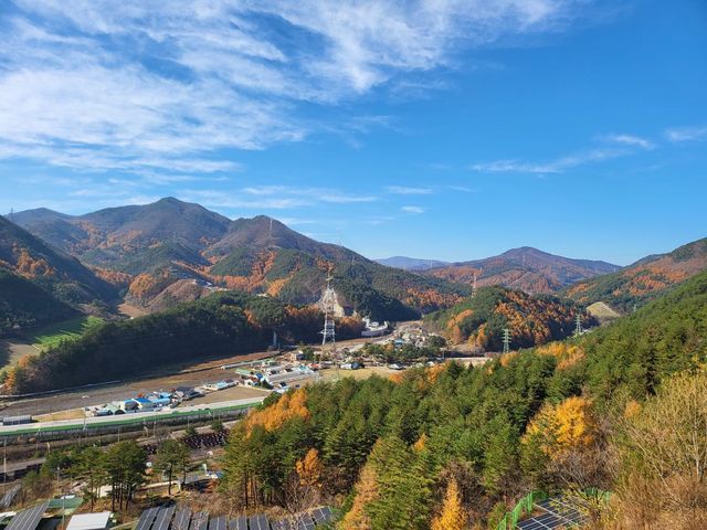 강원도 태백 여행지 :: 기억을 품은 길