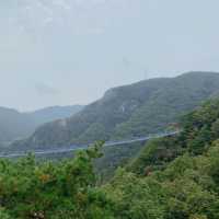 출렁이는 원주 소금산 출렁다리⛰️