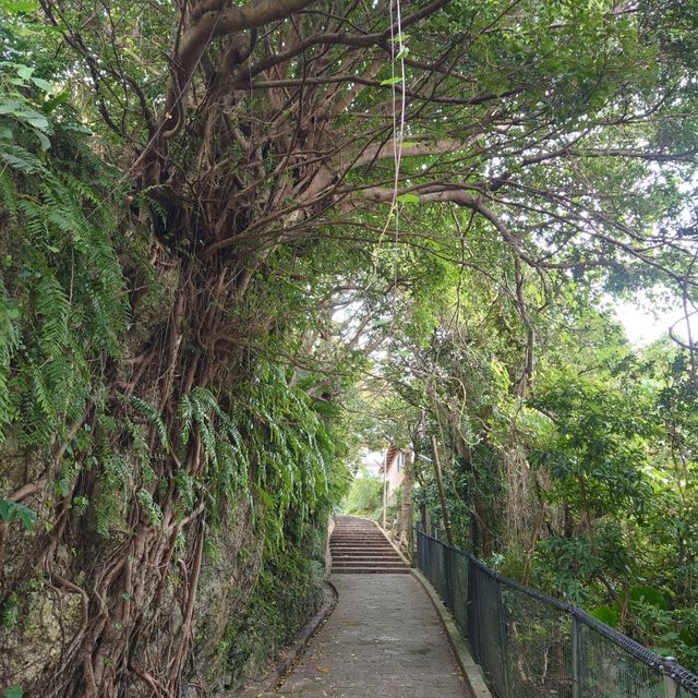 首里金城石畳道「真珠道」