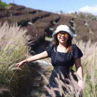 ภูทับเบิก