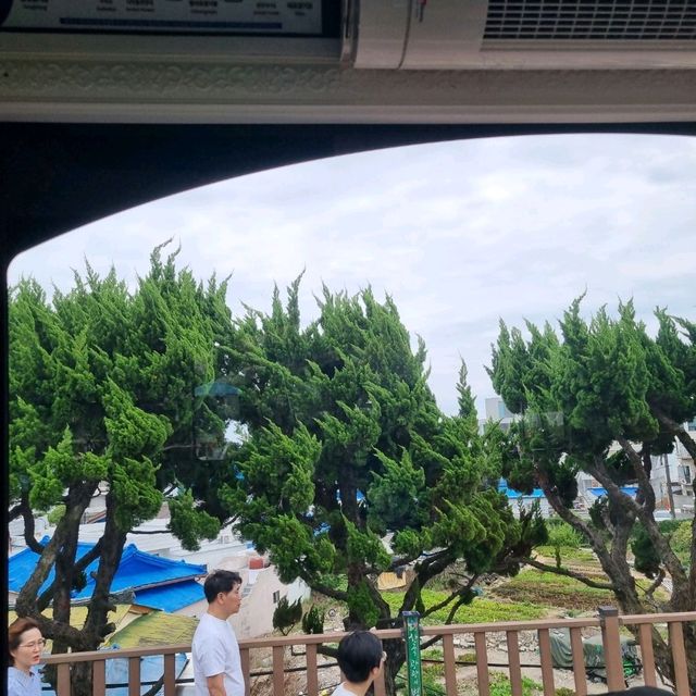 Ride the coast with the Sky Capsule🤩