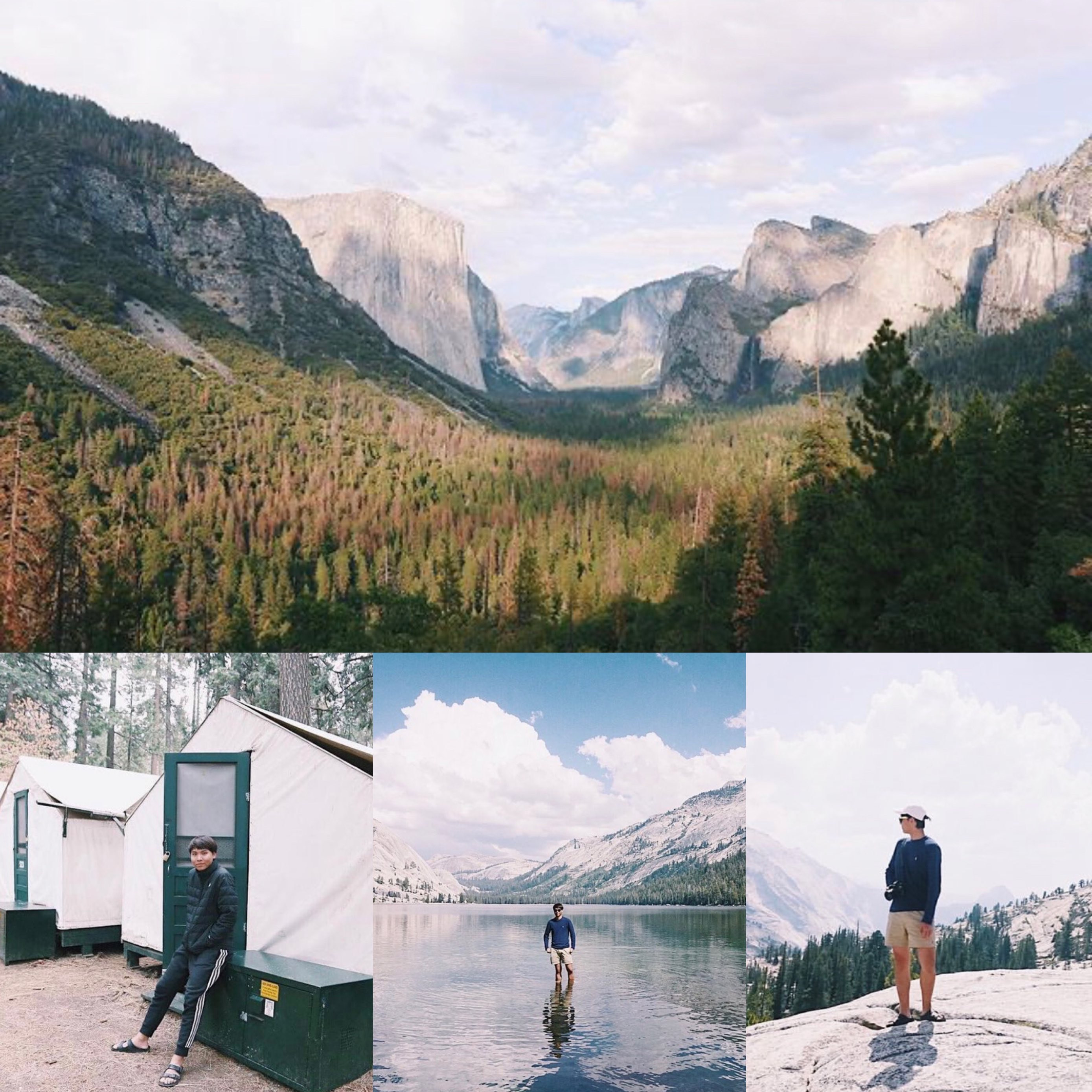 Yosemite National Park @ California USA