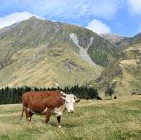 West Matukituki Track