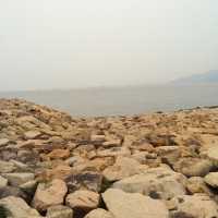 秘景｜海豚廣場