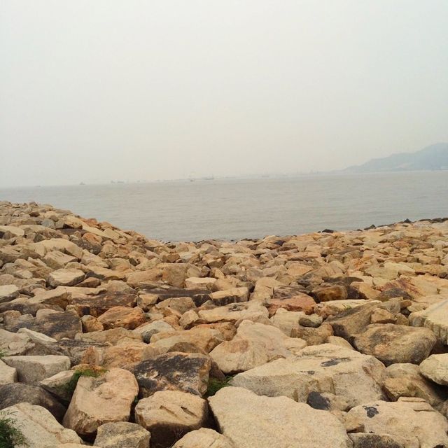 秘景｜海豚廣場