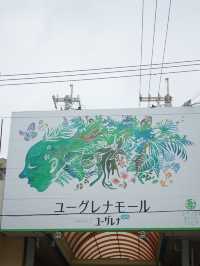 【沖縄・石垣島】ユーグレナモール