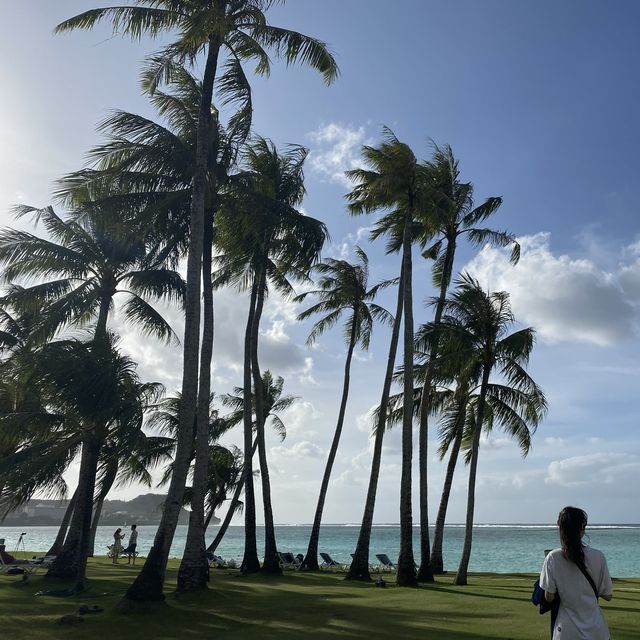 닥달(닥치고 달려가야하는) 괌🏝