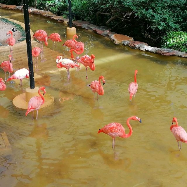 香港動植物公園150週年紀念