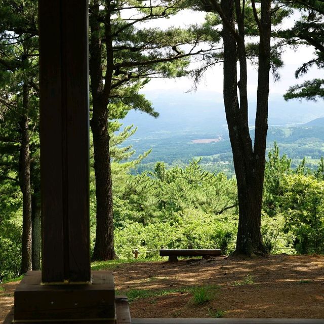 제주도 한라산이 보이는 '광이오름'