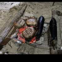 陽光與海灘蘿箕灣 camping