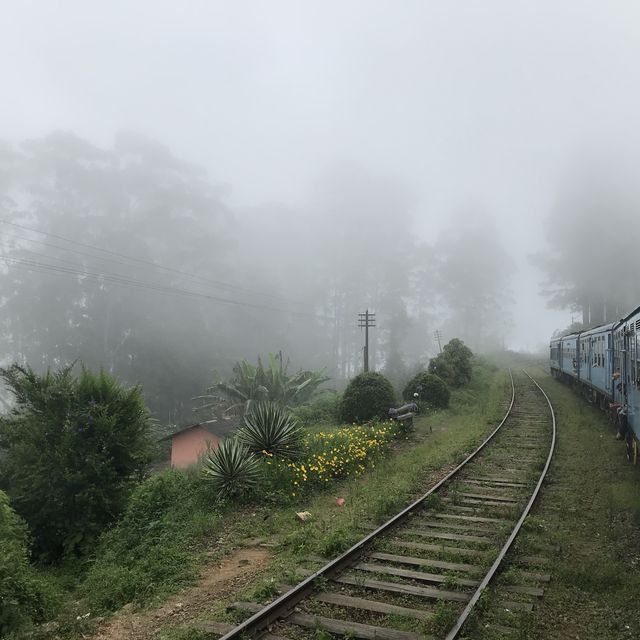 the scenic train ride Nanu Ota-Elle