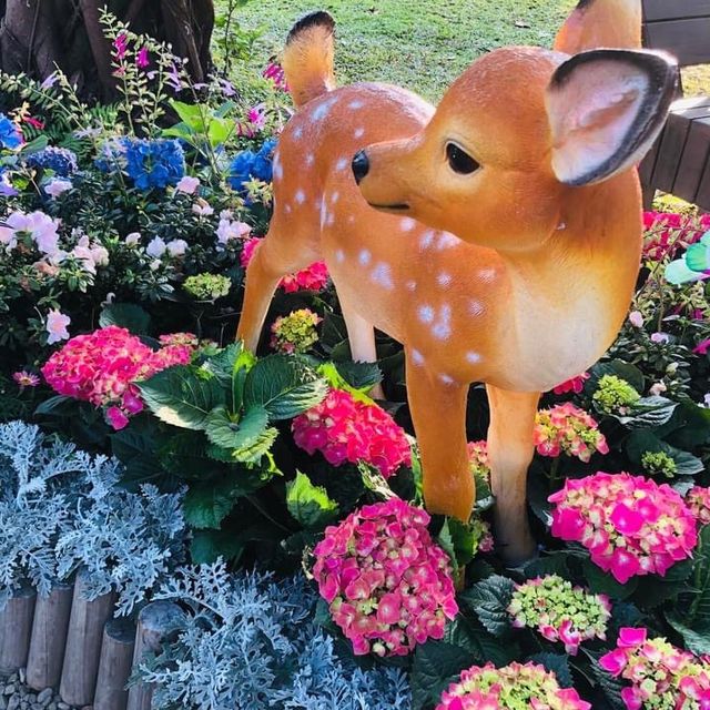 大安森林公園 🌸🌺🌼🌻💐🌷🌹 台北杜鵑花季