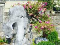 九龍城寨公園賞花好去處