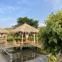 พวน ฟาร์ม คาเฟ่ คาเฟ่เปิดใหม่ย่าน คลอง15