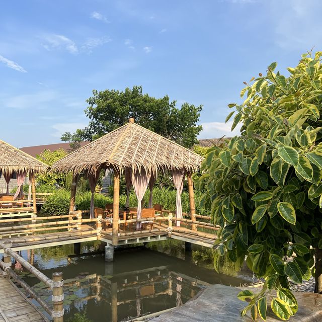 พวน ฟาร์ม คาเฟ่ คาเฟ่เปิดใหม่ย่าน คลอง15