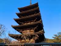 京都　京都散策旅　八坂の塔の桜とのコラボに感動❗️