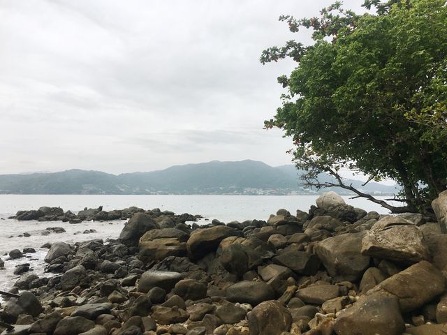 หาดพาราไดซ์ ป่าตอง ภูเก็ต