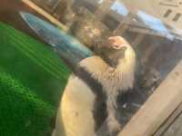名古屋港水族館