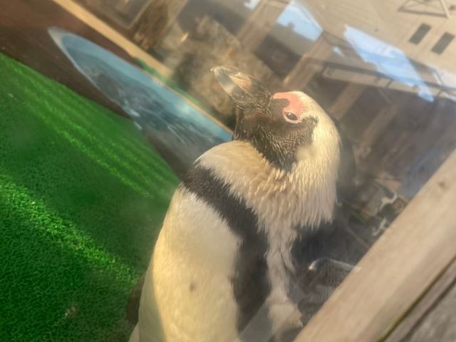 名古屋港水族館
