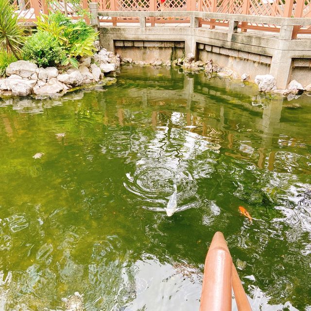 中式園林公園·兒童遊樂場📍荃灣