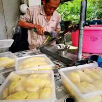 Durian Farm Expedition In Kulai Johor 