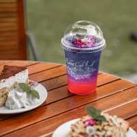 คาเฟ่โพรงกระต่าย เขาใหญ่ • Rabbit Cafe •
