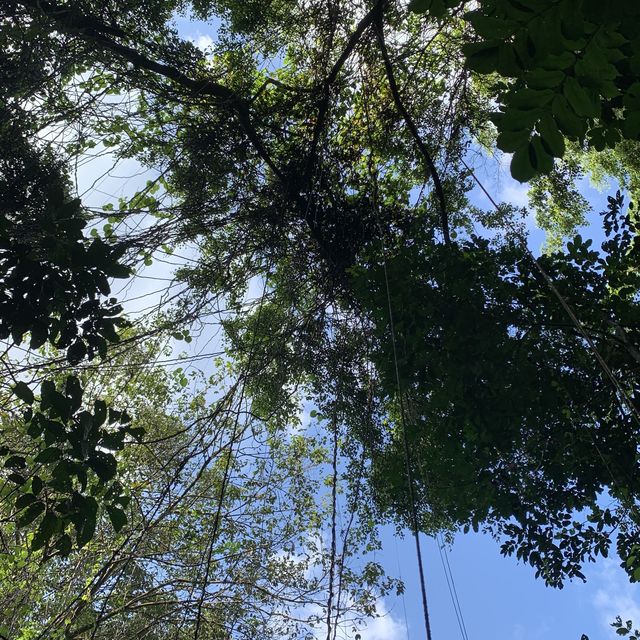 Hiking at Thomson Nature Park