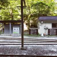 【富山県・黒部市】大自然満喫！トロッコ電車の旅🍁✨