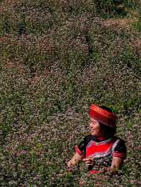 Hmong people in northern Vietnam 