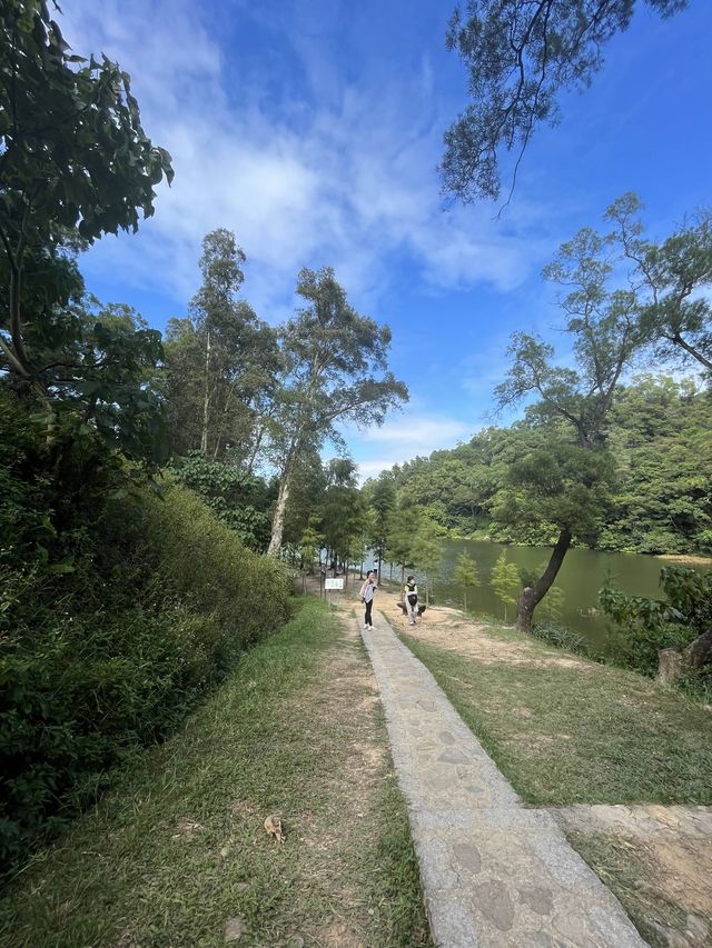 流水響水塘-行山新手也能輕鬆完成的路線