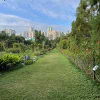 Macau Wetland of  Beach Avenue, Taipa